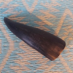 May include: A dark brown, smooth, and slightly curved horn. The horn is about 10 inches long and 2 inches wide at its widest point.