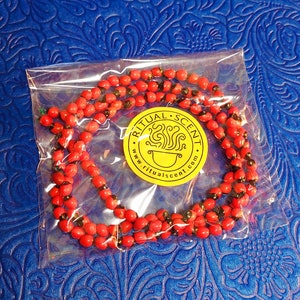 Collar de Odi bara Odu Obara Di Black and Red seed necklace odibara oddi obaradi eleke dilogun Elegua Consulta