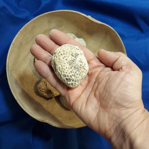 Olokun Ota Okutan porosas Asojano Asoyi otanes Arara Santeria Azojano Afra Nanu Nana Sakpata Tools ocutan viejo San Lazaro Olocun Babalu Aye
