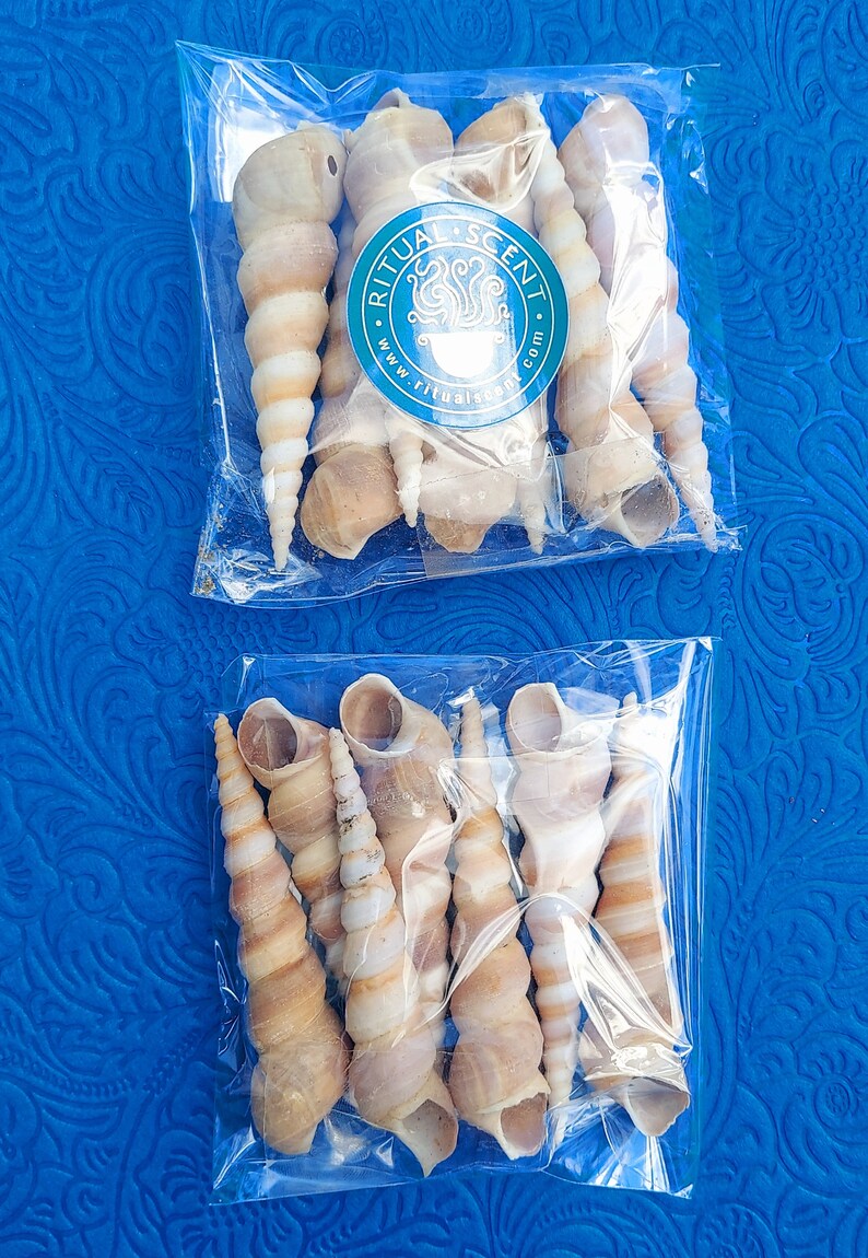 Orisha Oko & Korinkoto shells caracoles kori orisa korikoto scarecrow oricha irawo ocha corincoto ocha santeria ifa lucumi yoruba oricha