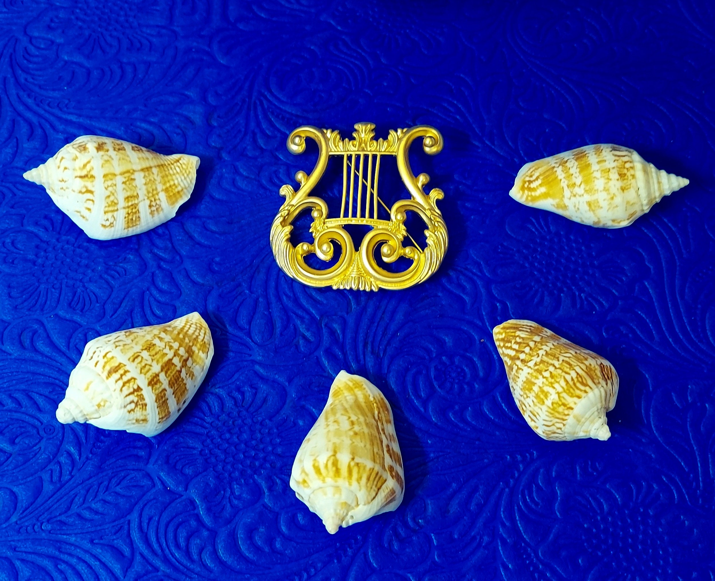 Bokira qinlarning yaqin porno videolari