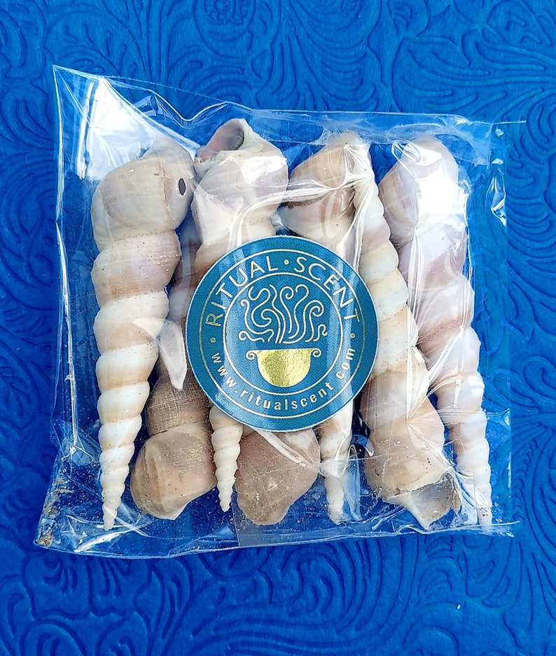 Orisha Oko & Korinkoto shells caracoles kori orisa korikoto scarecrow oricha irawo ocha corincoto ocha santeria ifa lucumi yoruba oricha