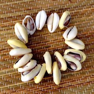 Hand van Dilogun orisha Geld Kauri&#39;s Orisha Kaurischelpen Santeria Lucumi Orisha Yoruba iyawo caracoles kauri&#39;s diloggun owo eyo iyawo adimu