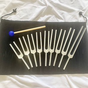 以下が含まれることがあります： 黒いベルベットの袋に入った10本の銀製の音叉のセット。青いゴム製のヘッドが付いた木製の槌も付属しています。