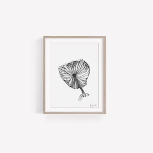 Mushroom Black and White Art Print | Pen and Ink Art Print | 8x10 Art Print Home Decor | Botanical Art Print Gift | Signed by Artist