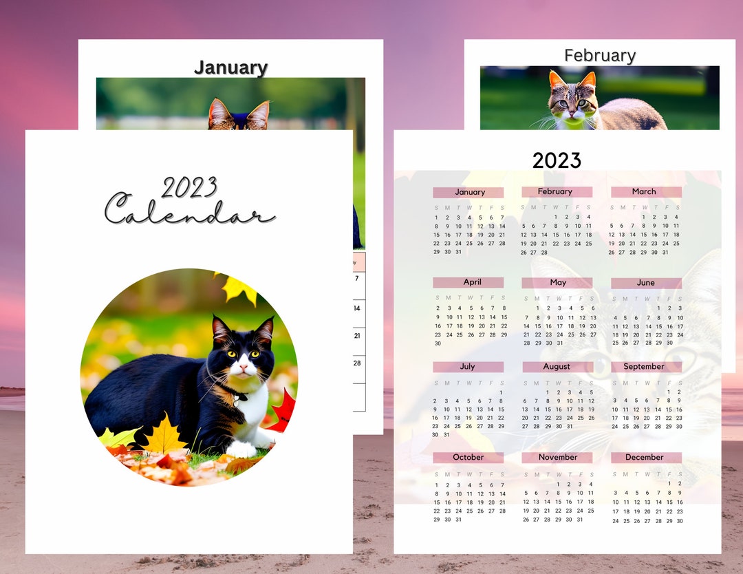Cat Calendar, 2023 Monthly Calendar, Printable Download, Printable
