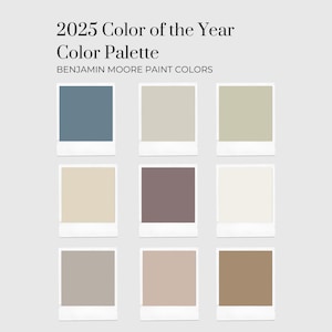 2025 Color of the Year Color Palette, Interior Paint Palette, Pre-Selected Paint Color Palette, Home Paint Color Palette