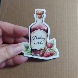 Ímã de framboesa Cordial - Ímã de geladeira inspirado em Anne of Green Gables - Presentes