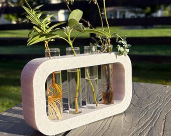 plant propagation station