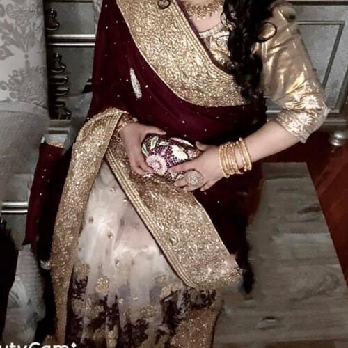 Beautiful net & velvet wedding or shops party wear saree