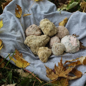 May include: A group of seven geode crystals, some with pink and white interiors, others with a beige exterior, are arranged on a gray fabric surface surrounded by fallen autumn leaves.