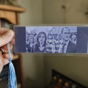 Stares in Especially Heinous Bookmark, Funny Dark Romance Gift, bookish merch, crime show lover, svu meme