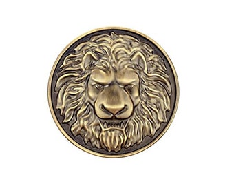 Lion Main Door Handle: Antique Zinc Alloy Pull (5 Inch) - Etsy