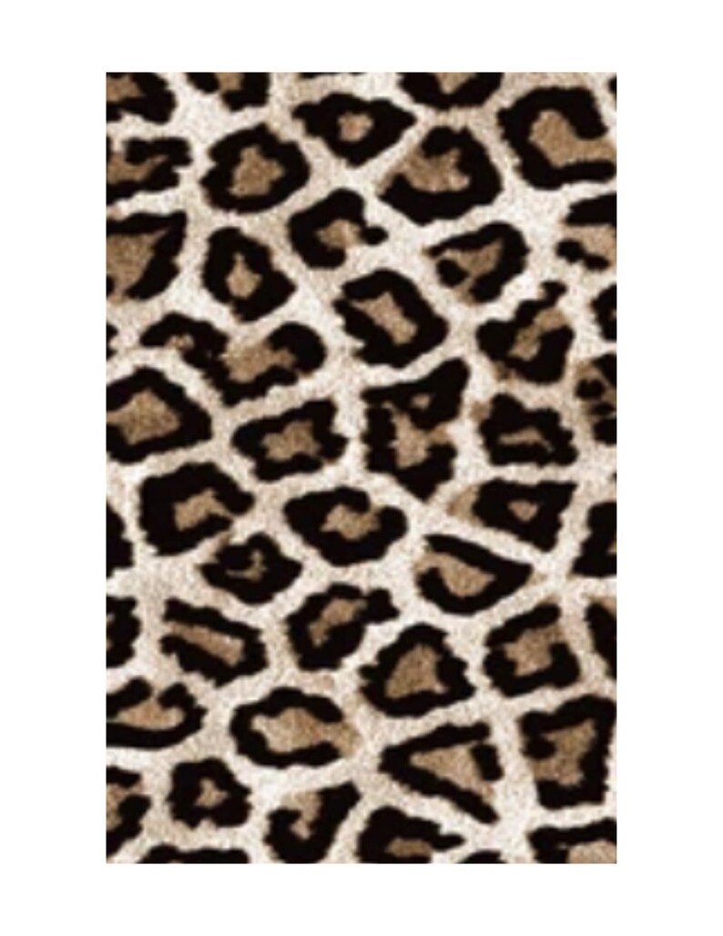 Exotic Dancewear 'FINE KATTY' Leopard Stripper Etsy
