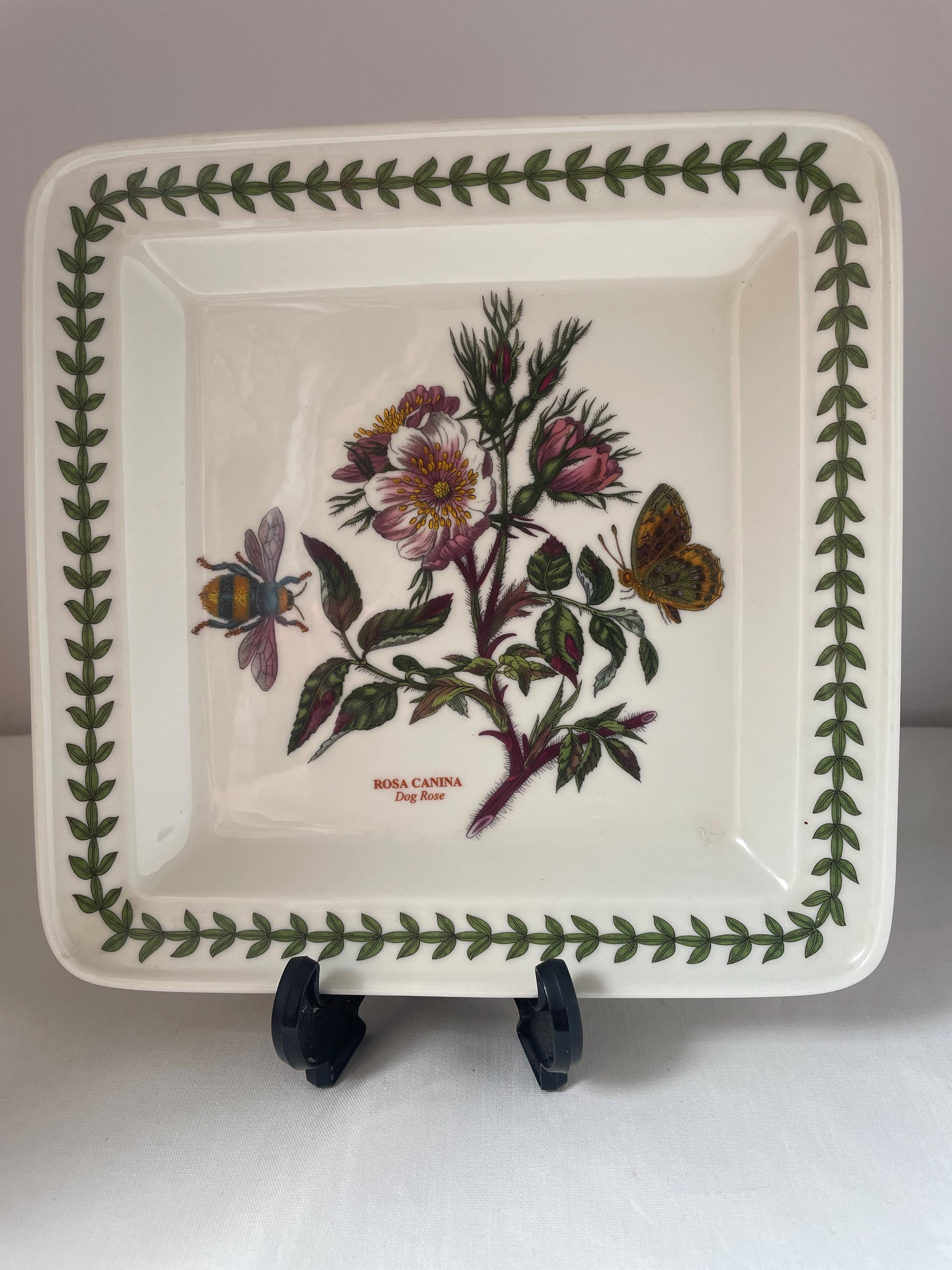 Vintage Portmeirion Botanic Garden Salad Plate: Rosa Canina Dog