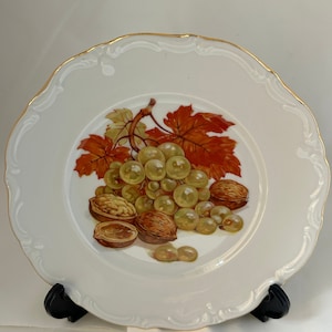 Vintage Winterling Bavaria Fruit Plates Set of 6 – 7.5 Inch Dessert Plates with Gold Trim, German Porcelain Tableware