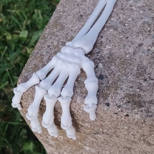 Flexi skeleton hand Halloween decor flexi fidget stress toy decor