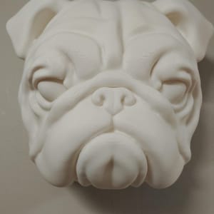 Englische Bulldogge Kopfstatue Wand- / Regaldekor Verschiedene Größen / Farben erhältlich