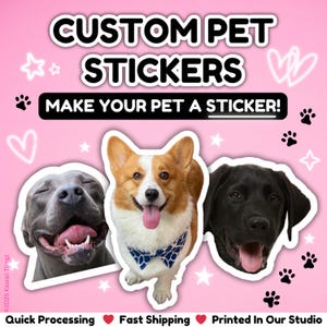 Custom Pet Sticker | Custom Dog Stickers | Custom Cat Stickers | Pet Stickers | Personalized Pet Gift | Custom Stickers | Vinyl Stickers