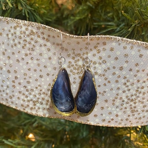 Mussel shell earrings gold