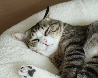 Marshmallow Pudding Bed for Cats and Dogs