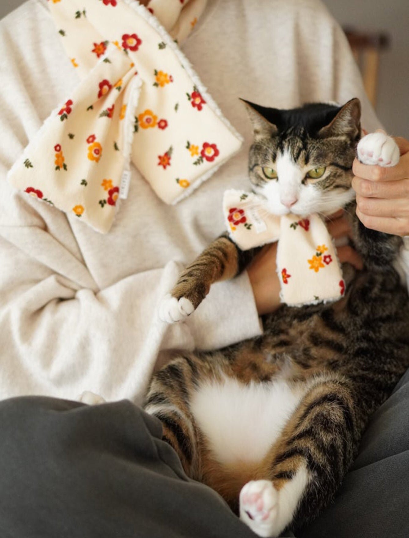 Matching Cat Clothes - Etsy