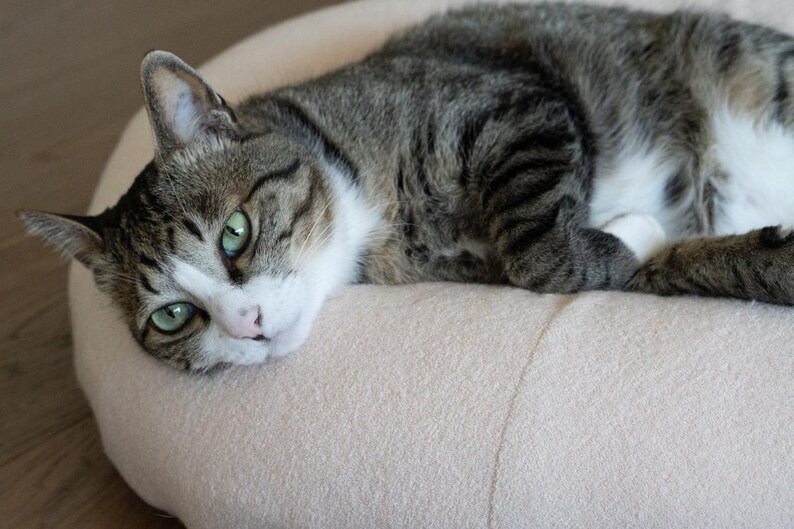 May include: A tabby cat with green eyes rests on a light pink pet bed. The cat has a white muzzle and chest, with grey and black stripes on its body. The cat is relaxed and appears to be sleeping.