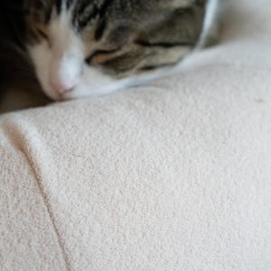 May include: A sleeping cat with a white and grey tabby pattern rests on a light beige, textured surface. The cat's eyes are closed, and its nose is pink. The image is a close-up.