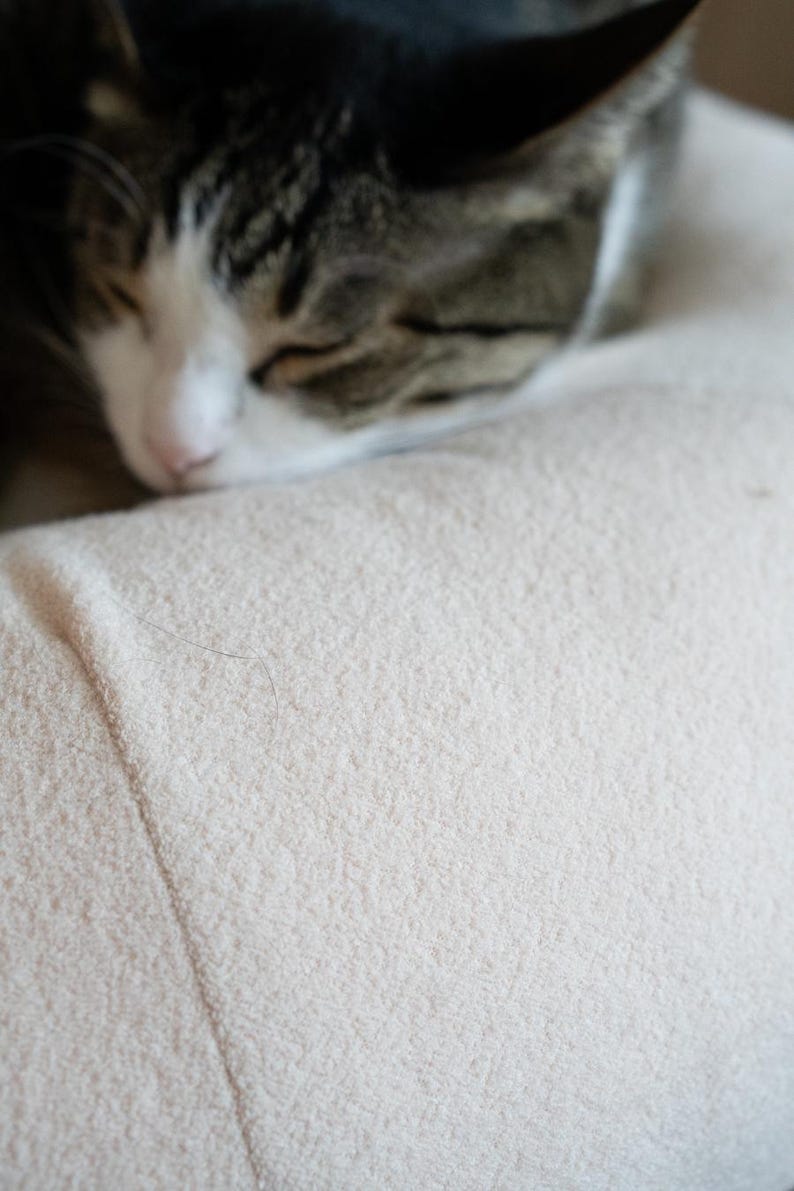May include: A sleeping cat with a white and grey tabby pattern rests on a light beige, textured surface. The cat's eyes are closed, and its nose is pink. The image is a close-up.