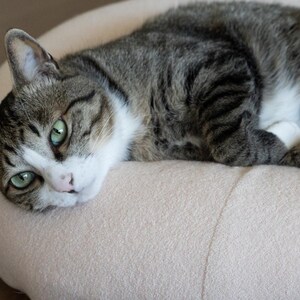 May include: A tabby cat with green eyes rests on a light pink pet bed. The cat has a white muzzle and chest, with grey and black striped fur. The cat is lying down, appearing relaxed and comfortable.