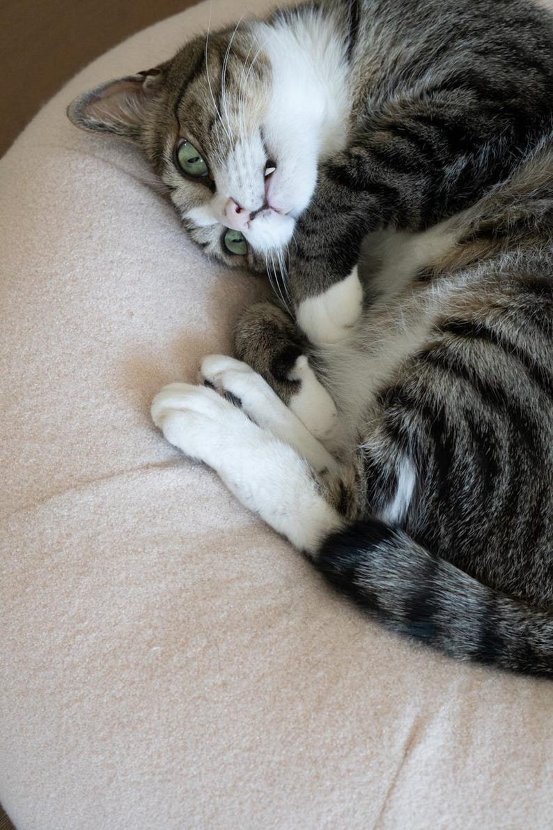 May include: A tabby cat with green eyes and white markings is lying on a light pink surface. The cat's fur is a mix of brown and grey stripes. The cat is looking at the camera.