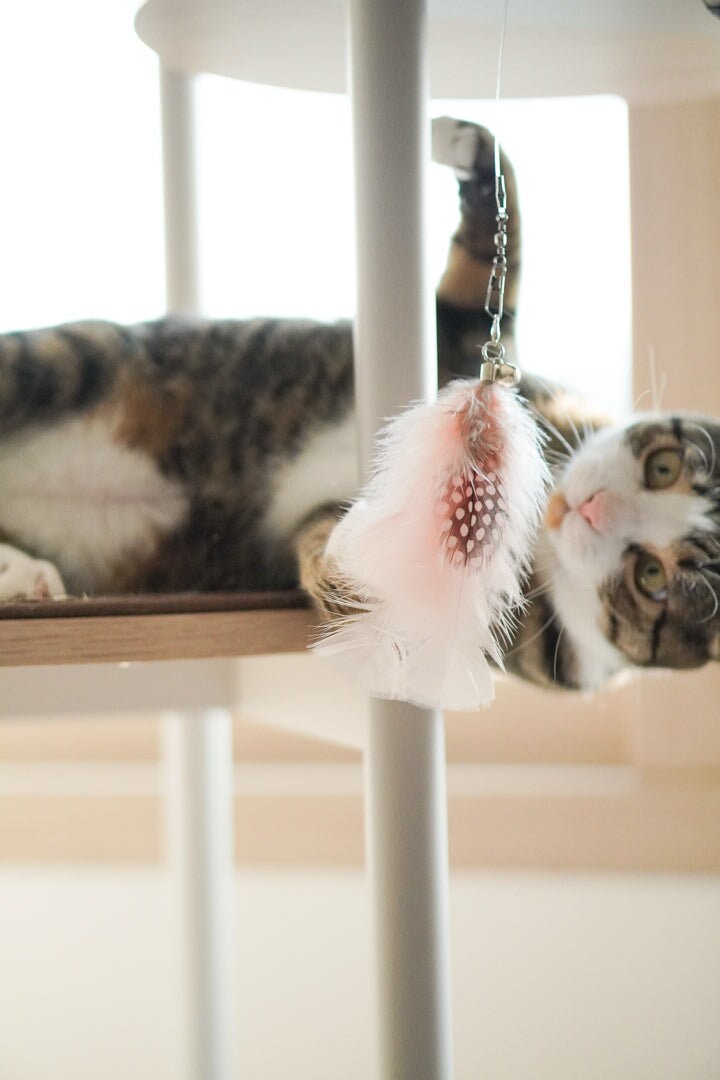 Cat toys interactive, Tickle Pickle Feather Teaser by Ocatnip, Cat gift, Cat mom, Cat Dad