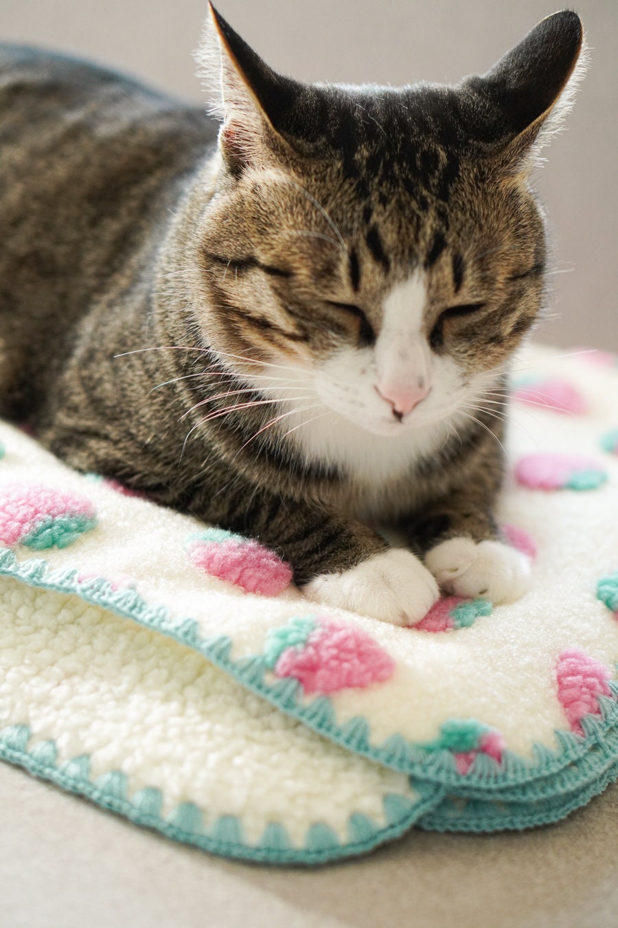 Cat bed with blanket sale