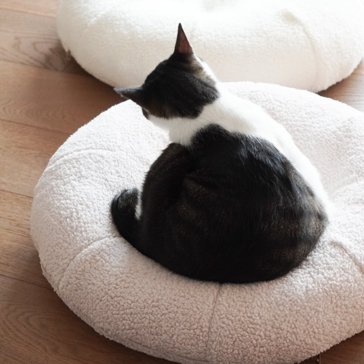 Taro Pudding Bed for Cats and Dogs - Etsy
