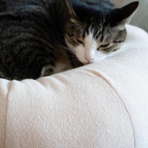 May include: A sleeping tabby cat with black and brown stripes rests on a beige pet bed. The cat's white and pink nose is visible. The bed has a soft, textured surface.