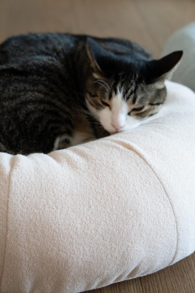 May include: A sleeping tabby cat with black and brown stripes rests on a beige pet bed. The cat's white and pink nose is visible. The bed has a soft, textured surface.