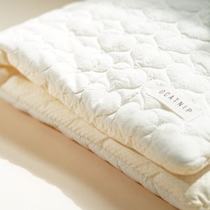 May include: A white quilted pillow with a label that says "OCATNIP".