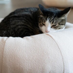 May include: A sleeping tabby cat with black and brown stripes and white patches rests on a beige pet bed. The bed is round and appears soft and plush. The cat is curled up, suggesting a comfortable and relaxed state. The cat's eyes are closed.