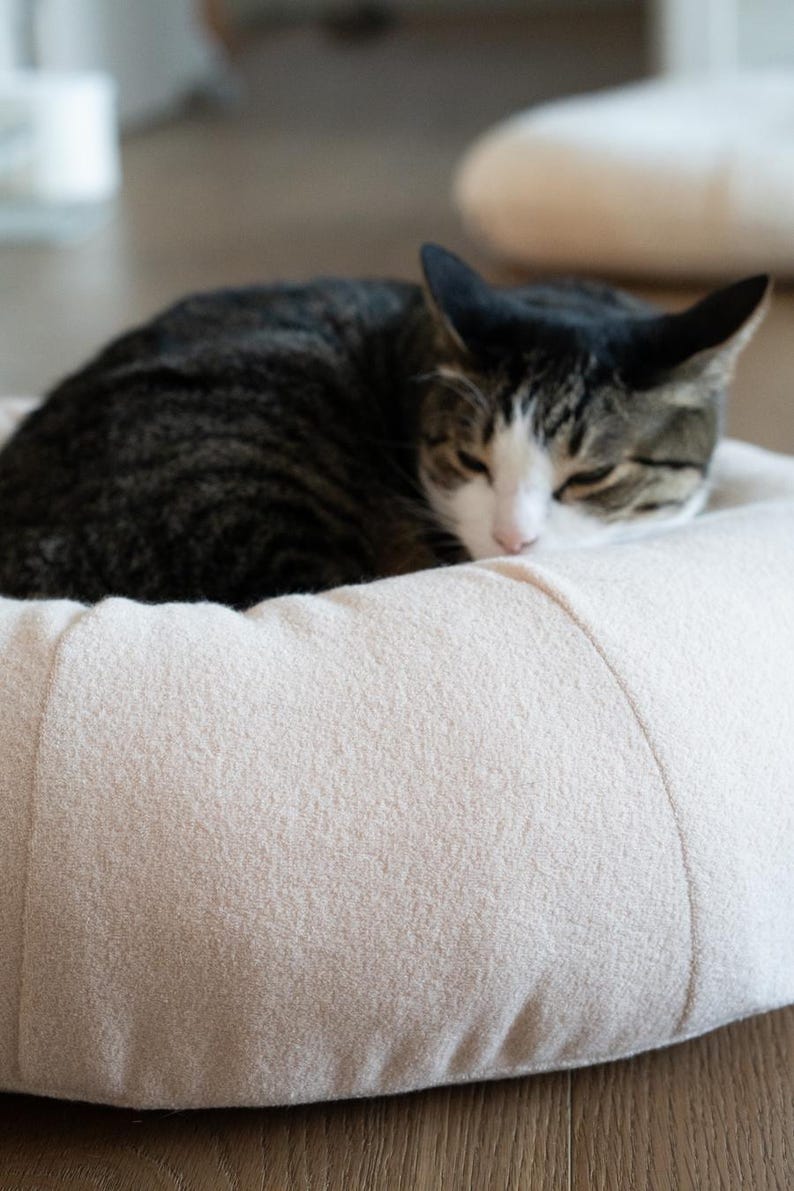 May include: A sleeping tabby cat with black and brown stripes and white patches rests on a beige pet bed. The bed is round and appears soft and plush. The cat is curled up, suggesting a comfortable and relaxed state. The cat's eyes are closed.