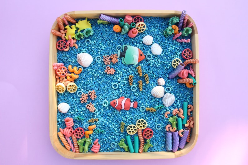 Ocean Reef Sensory Kit, Coral Kingdom, Ocean Sensory Bin, Coral Reef ...