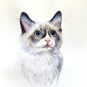 Ritratto di gatto personalizzato dipinto ad acquerello Cliente adorabile gatto originale fatto a mano collezione, animali domestici los, regalo ritratto di animale domestico dipinto commemorativo, gatti