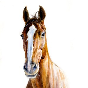 May include: Watercolor painting of a brown horse with a white blaze on its face. The horse is looking directly at the viewer with its head tilted slightly to the side.