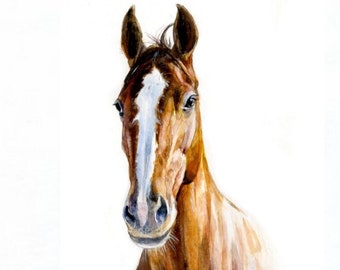 Custom HORSE portrait , horse watercolor painting horse personalized portrait watercolor painting