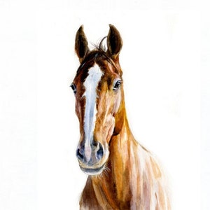 Custom HORSE portrait , horse watercolor painting horse personalized portrait watercolor painting