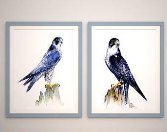 Peregrine Falcons Original watercolor painting mountain bird home decor art illustration gift Wall art handmade art collection