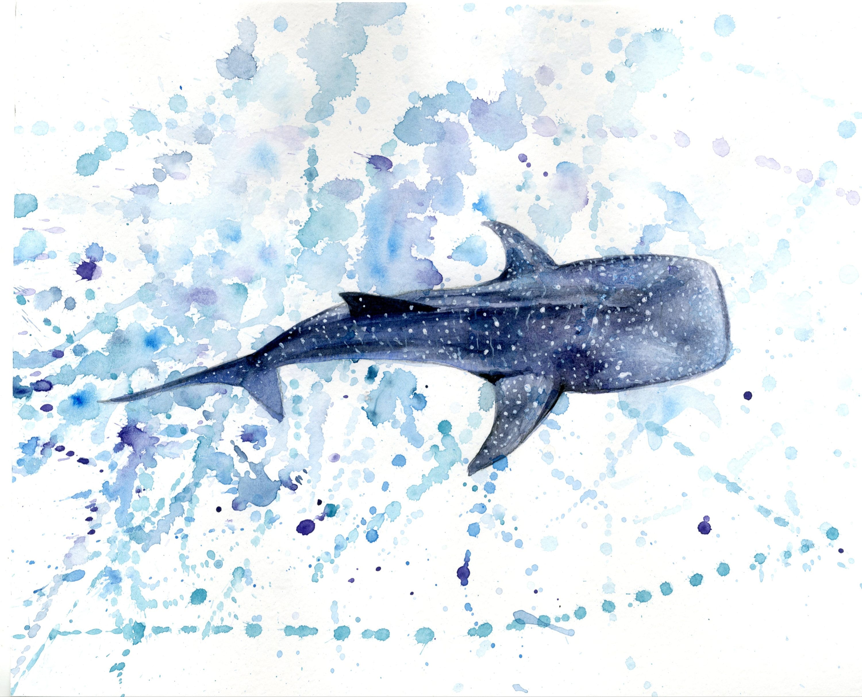original-watercolor-painting-blue-whale-shark-original-handmade