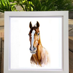 May include: A watercolor painting of a brown horse with a white star on its forehead. The horse is looking directly at the viewer with its head tilted slightly to the side. The painting is framed in a white frame.