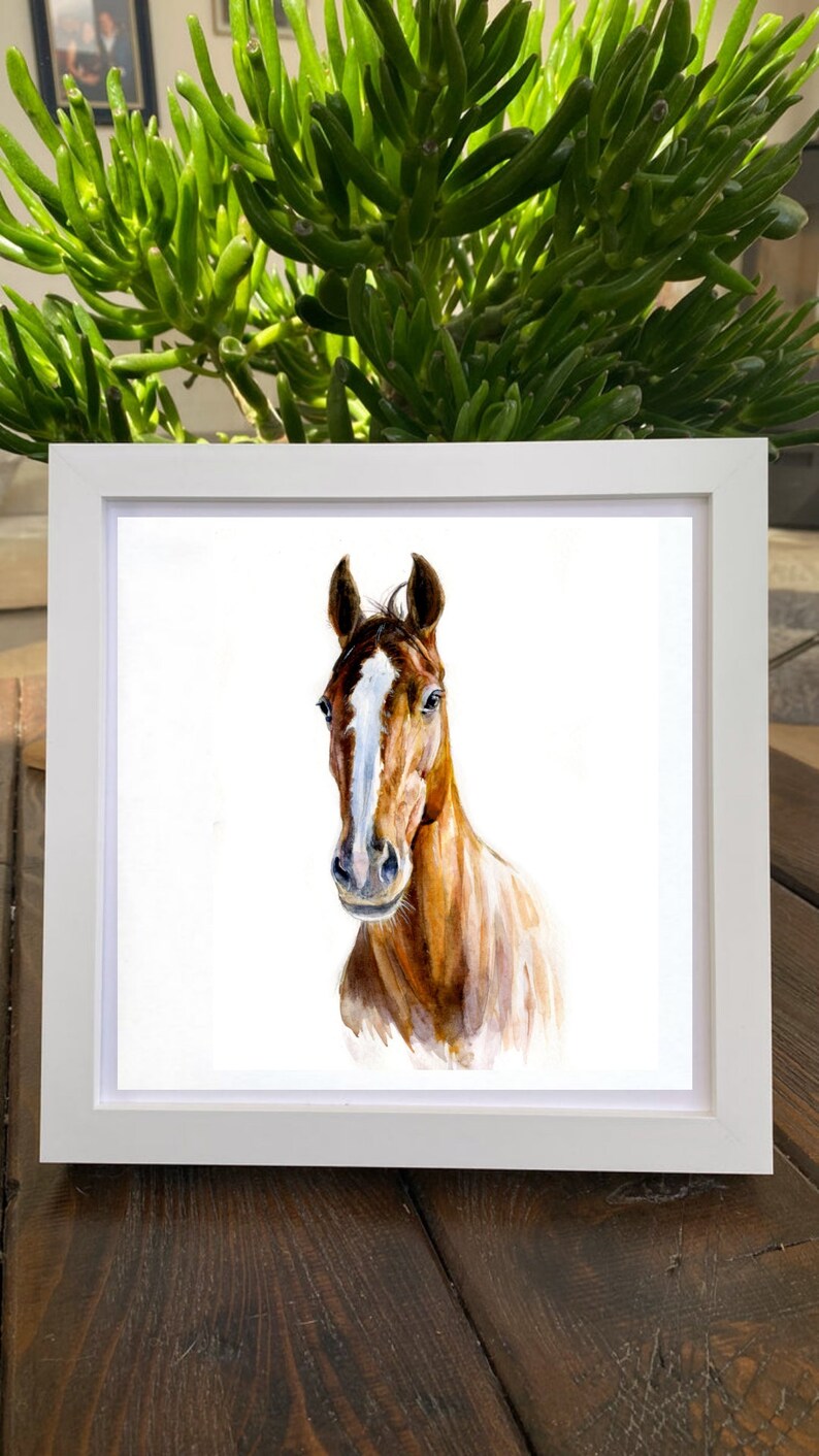 May include: A watercolor painting of a brown horse with a white star on its forehead. The horse is looking directly at the viewer with its head tilted slightly to the side. The painting is framed in a white frame.