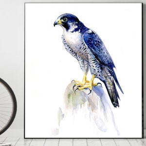 PEREGRINE FALCON  Original watercolor painting Peregrine falcon painting Birds wall art Housewarming original gift custom