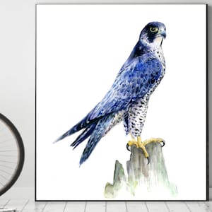 PEREGRINE  FALCON digital download Original watercolor painting Peregrine falcon painting Birds wall art Housewarming original gift portrait